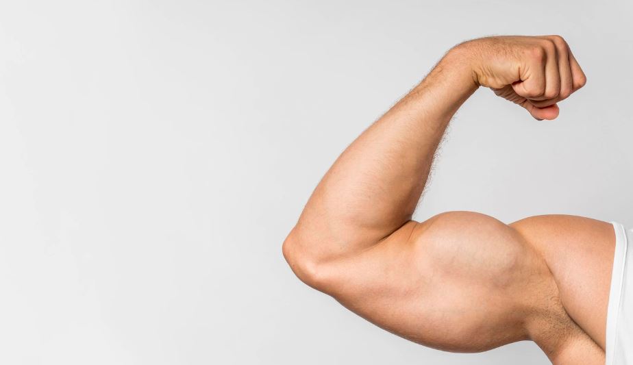 팔 근육 사진