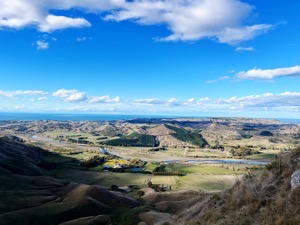 뉴질랜드 이민 후기 출산 육아 교육