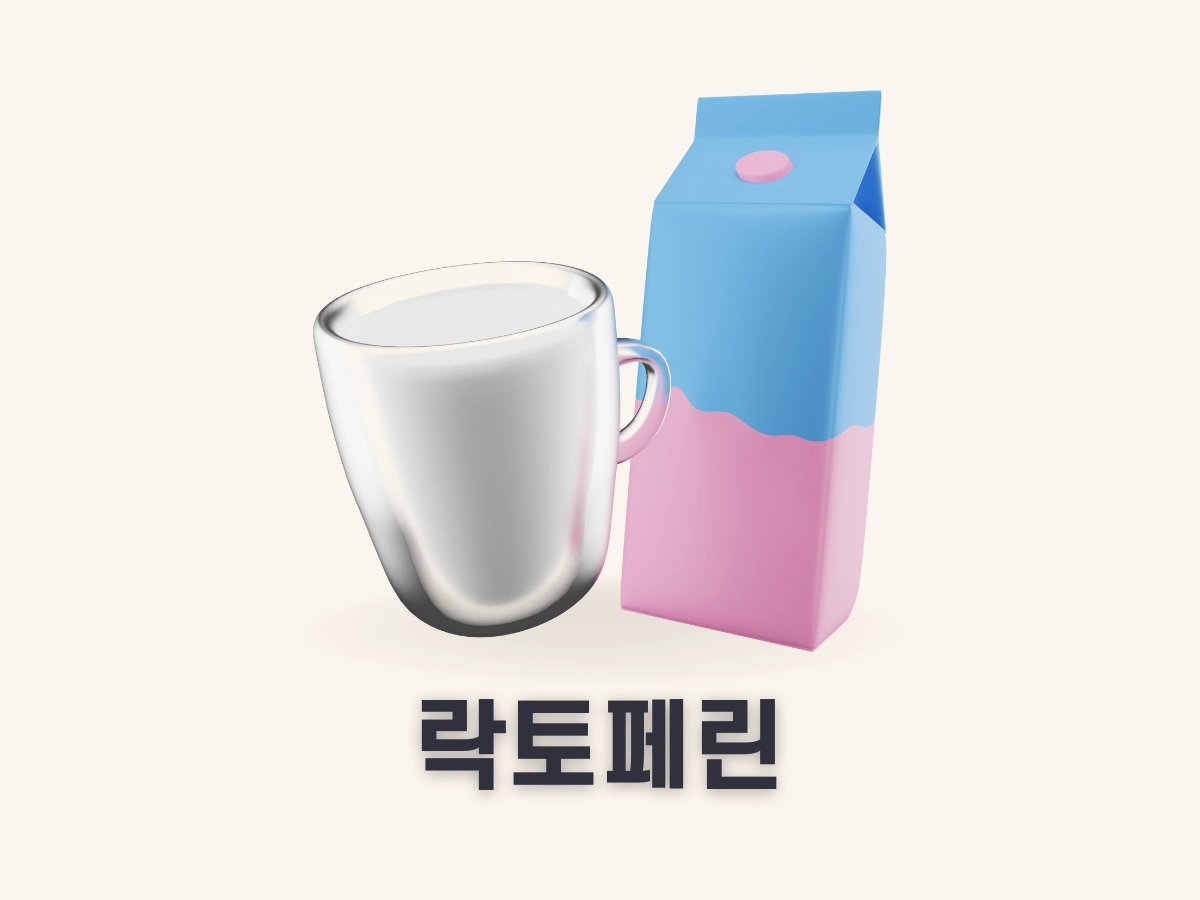락토페린