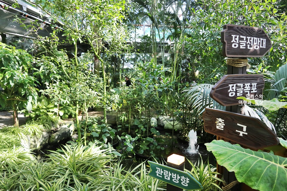 거제 정글돔 멋진 거대한 온실 식물원, 마치 정글에 온 듯?! 요금 입장시간