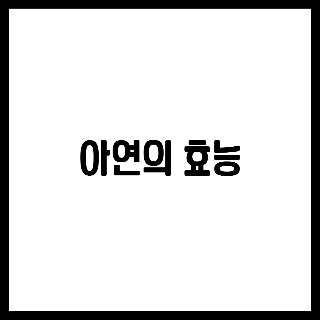 아연의 효능