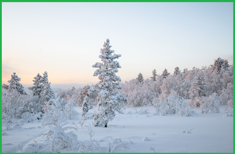 전기장판-겨울-필수템-추천