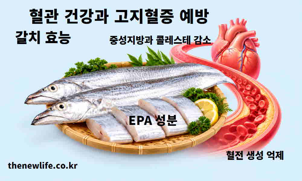 갈치 효능 혈관 건강 고지혈증 예방