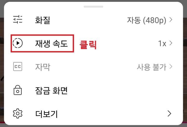 재생 속도 메뉴 클릭함