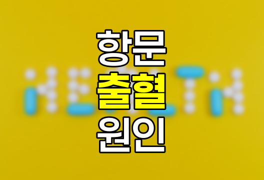 배변 시 항문 출혈, 원인, 증상 및 치료 방법 상세 안내