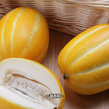 참외껍질 음식물쓰레기 인가요