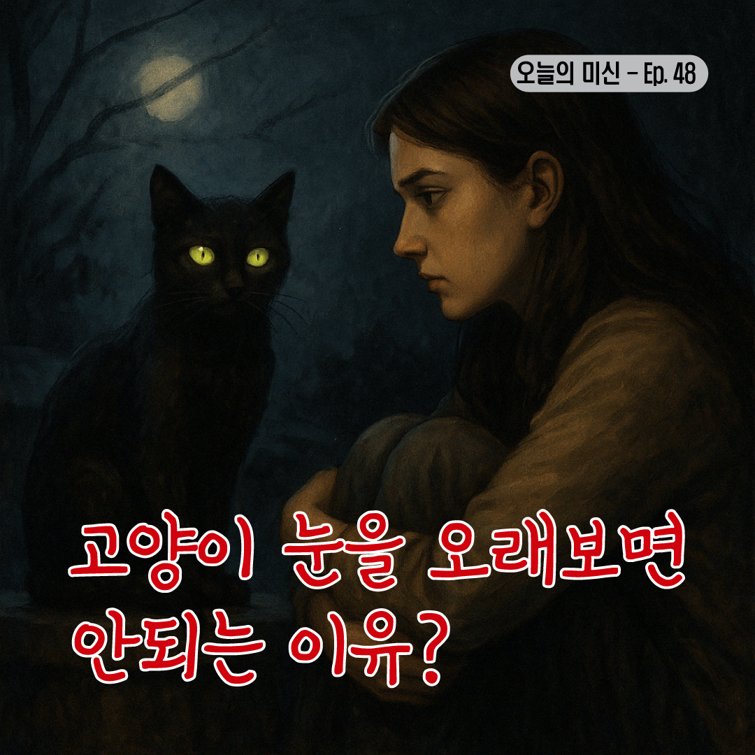 [미신 꿈 괴담] 고양이 눈을 오래 보면 안 되는 이유?-썸네일