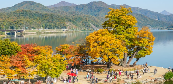 2025 경기도 단풍 명소 TOP5 관련사진