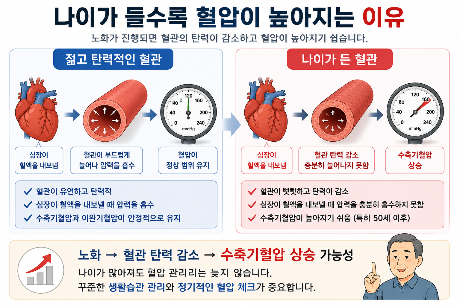 나이가 들면서 혈관 탄력이 줄고 수축기 혈압이 높아질 수 있는 기전 설명