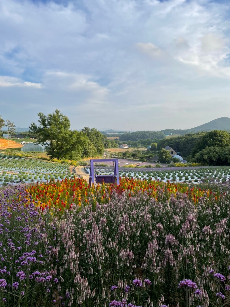 고창청농원