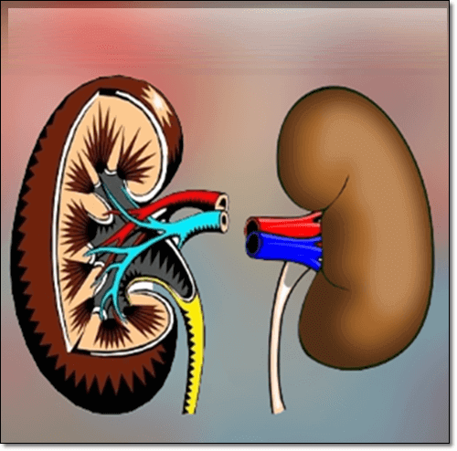 사구체신염 증상
