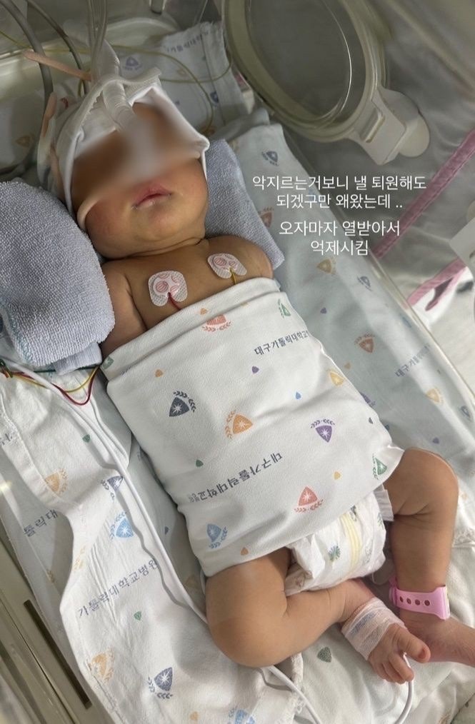 대구가톨릭병원 간호사 미숙아 학대 정황 : 병원명·가해자 정보·SNS 게시글 정리