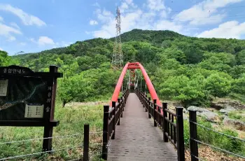 장령산 자연휴양림_2