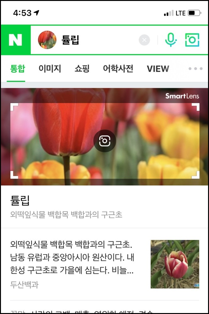 네이버 앱