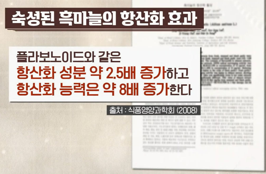 흑마늘 SAC 효능