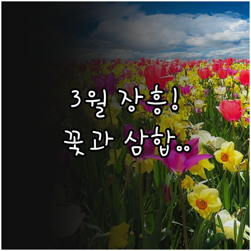 3월 전남 장흥 여행지 추천 유채꽃 ..