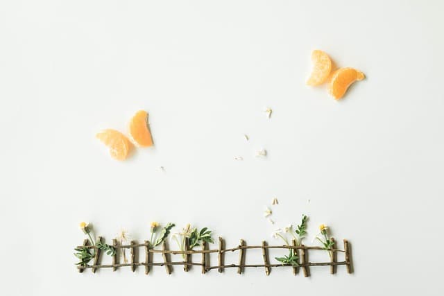 경계와 언어의 표현: '울타리'와 'Boundary'의 어원 비교