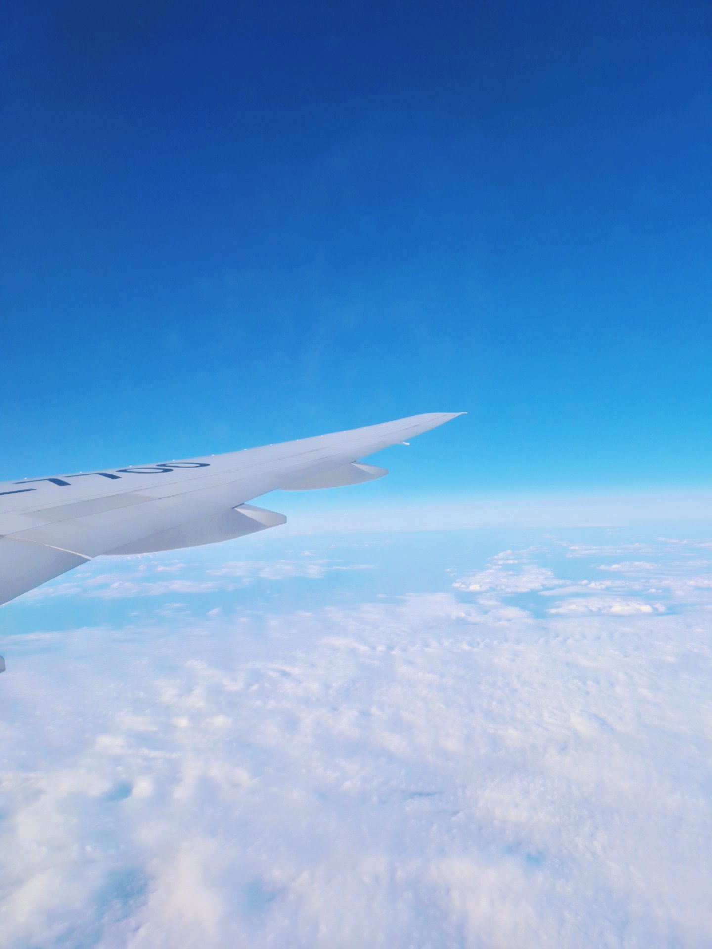 하와이 여행을 준비하며