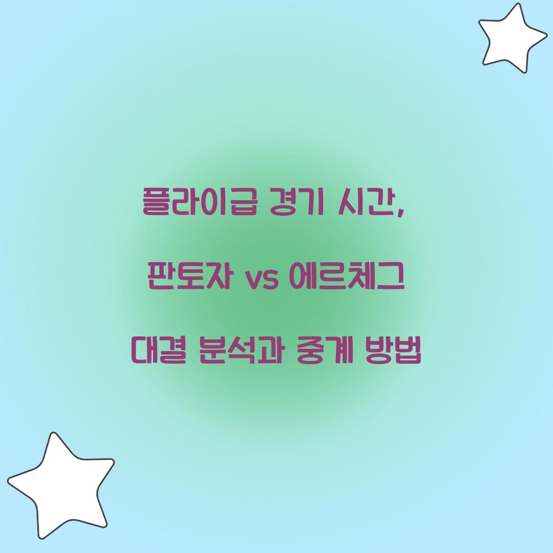 플라이급 경기 시간