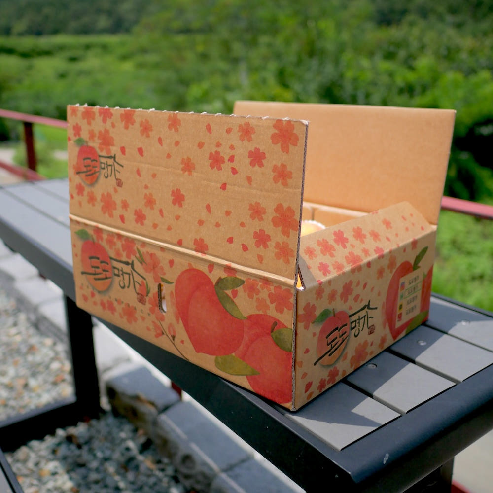 생방송투데이 복숭아