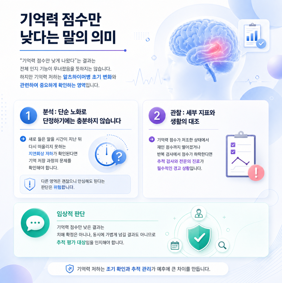 기억력 점수 저하 의미와 지연회상&middot;재인 점수 분석 설명 인포그래픽