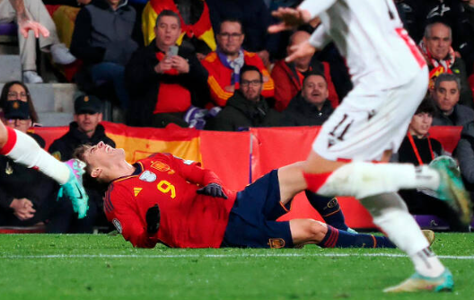 가비 십자인대 파열