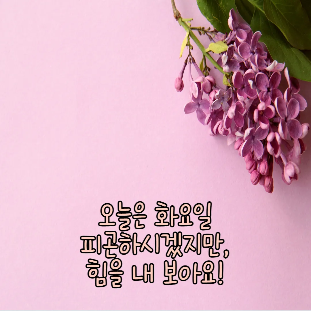 화이팅-화요일-이미지