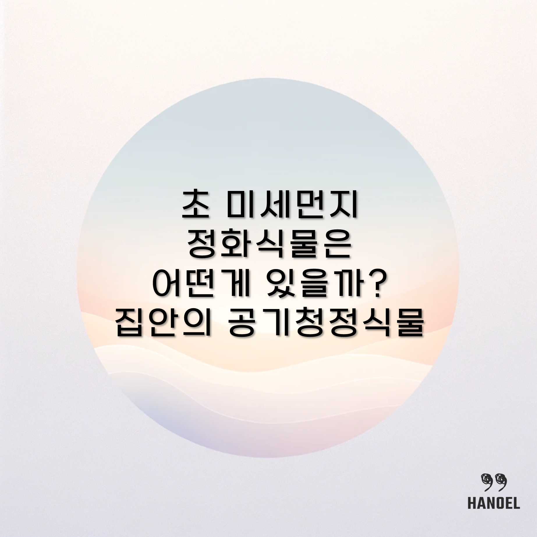 초 미세먼지 정화식물은 어떤게 있을까? 집안의 공기청정식물