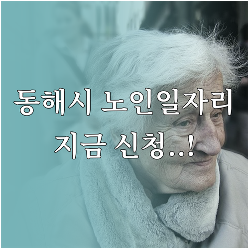 동해시 시니어클럽 위치와 노인 일자리..