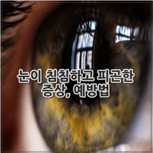 눈이 침침하고 피곤한 증상, 예방법