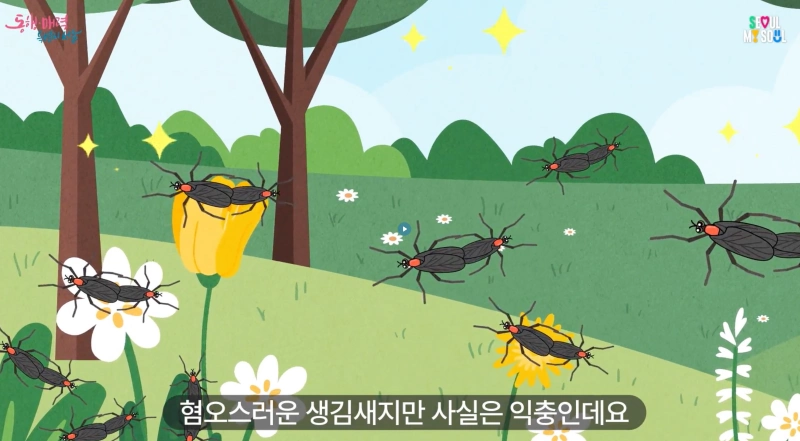 러브버그 출몰 시기