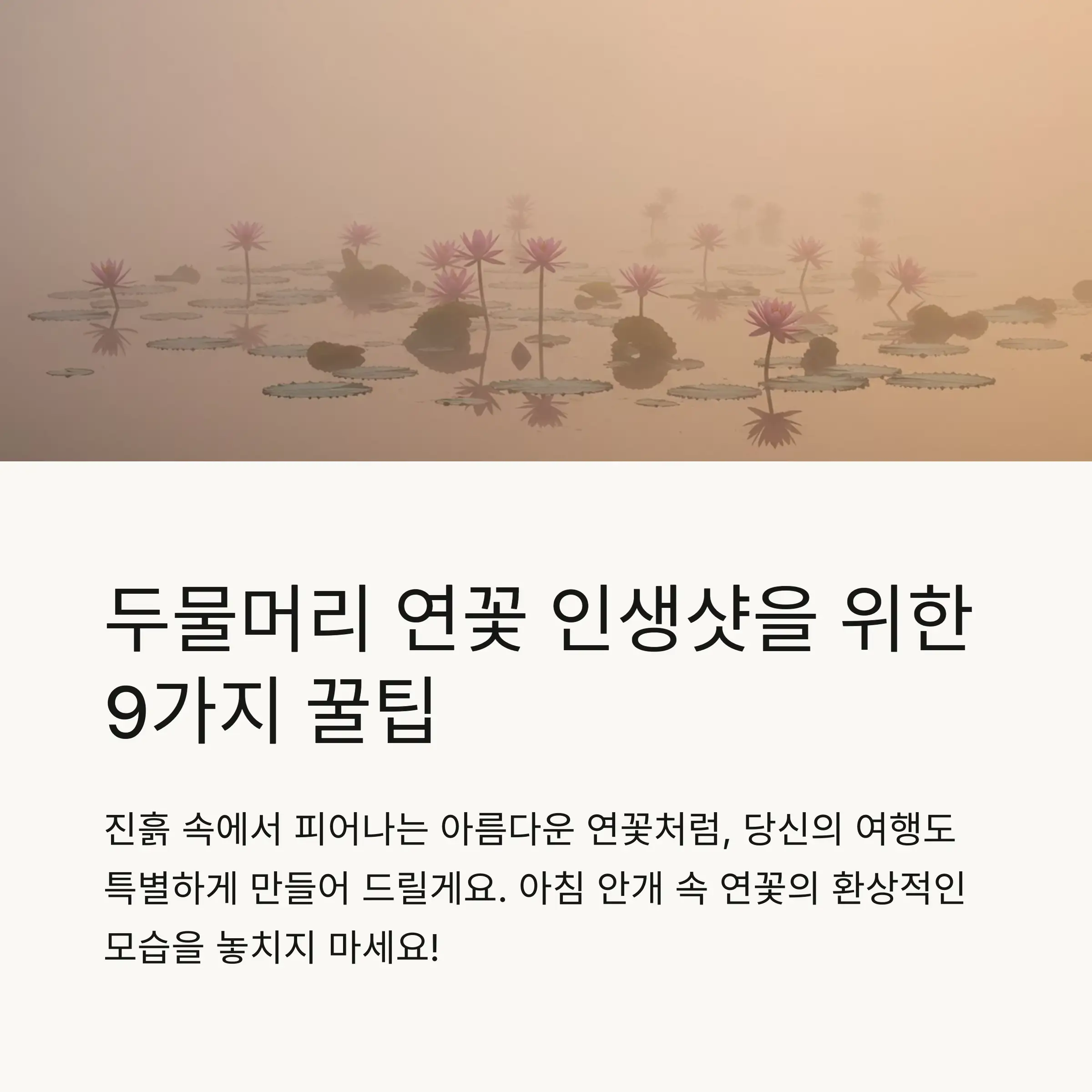 📋 목차