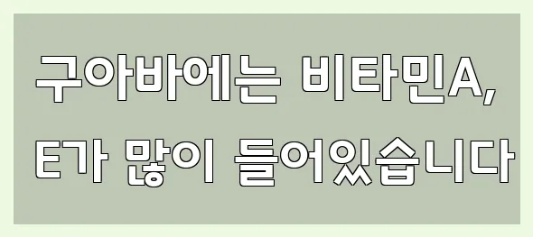  구아바에는 비타민A, E가 많이 들어있습니다