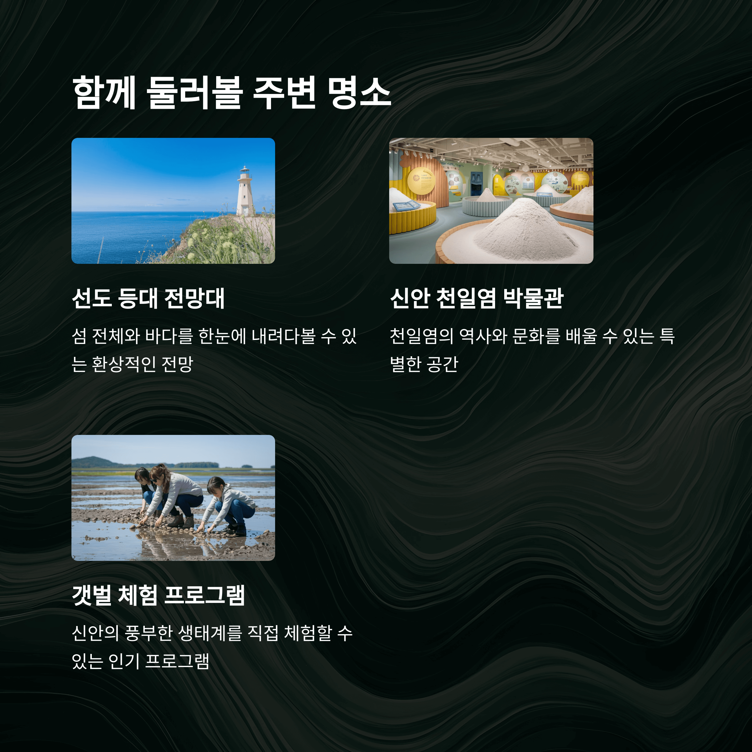 2025년 신안 선도 섬 수선화 축제