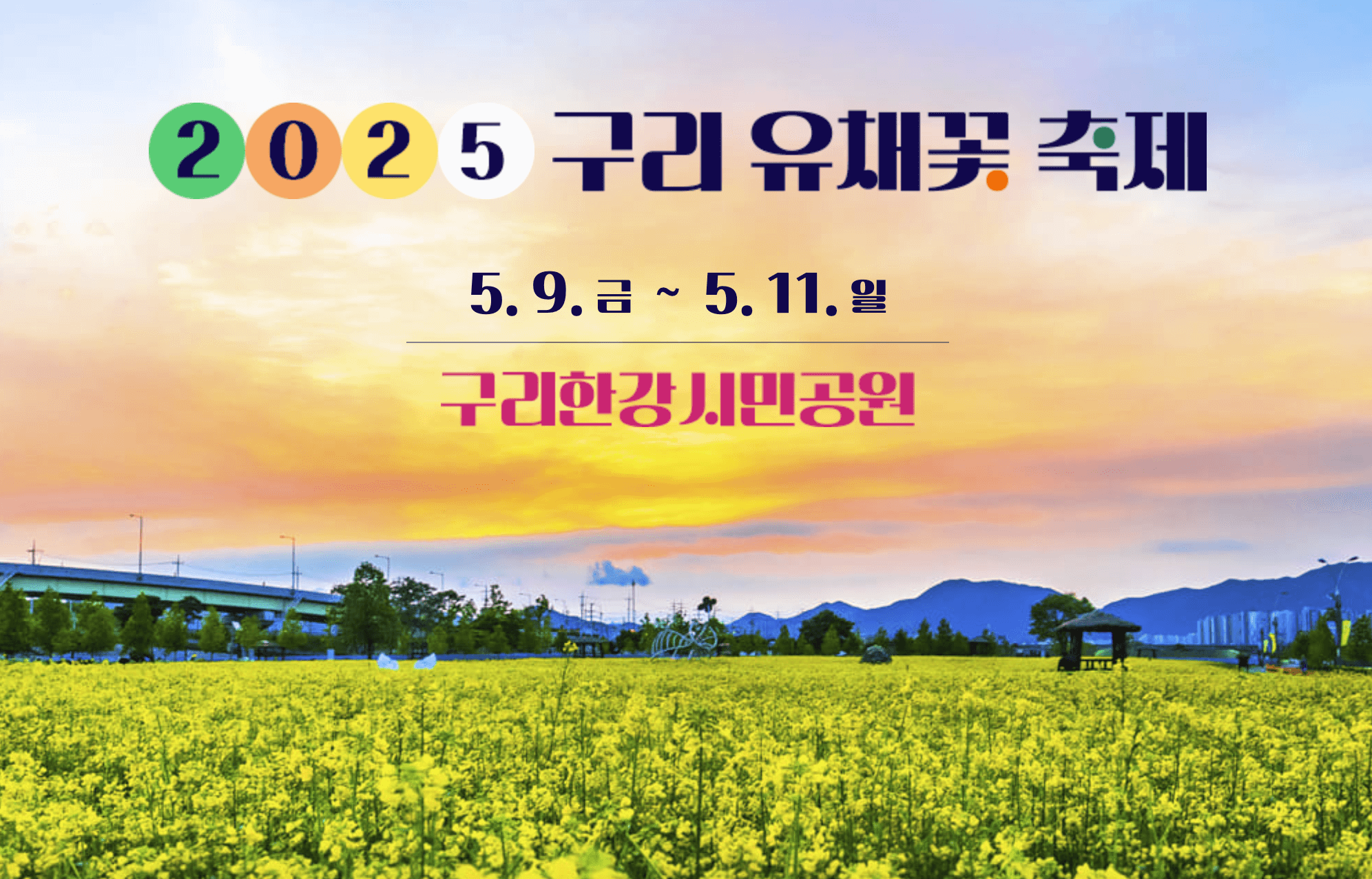 구리 유채꽃 축제