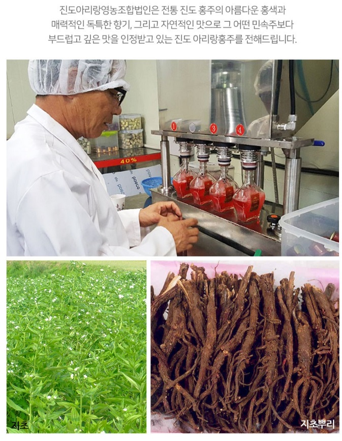 한국기행-진도-지초-홍주-허씨가문