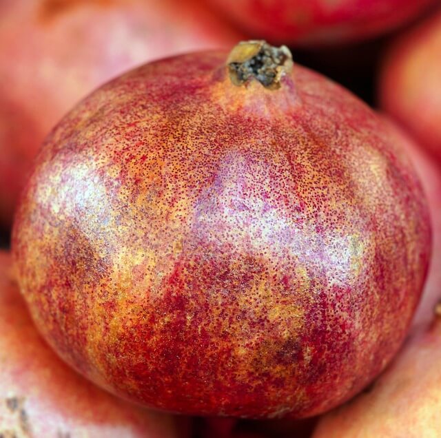 갱년기 -영양제 -추천- 2025 -15