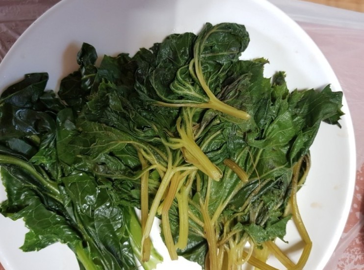 한국인의 밥상 이수도 민박5