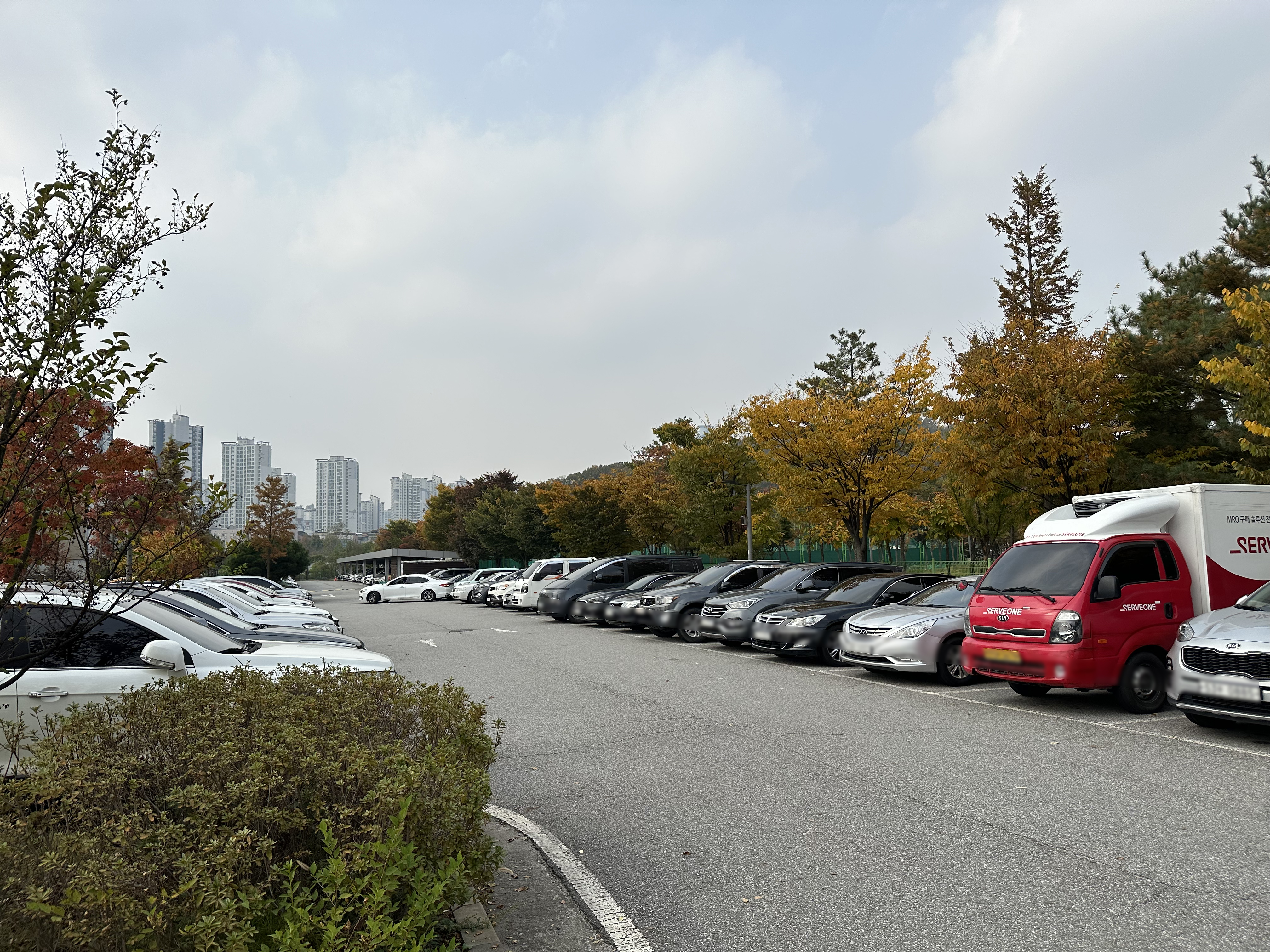 동탄여울공원 반려견놀이터