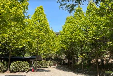 파이브이모션 캠핑장 D존