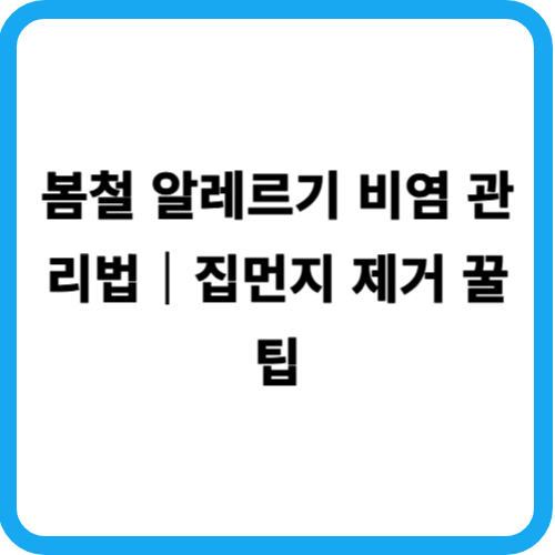 봄철 알레르기 비염 관리법|집먼지 제거 꿀팁