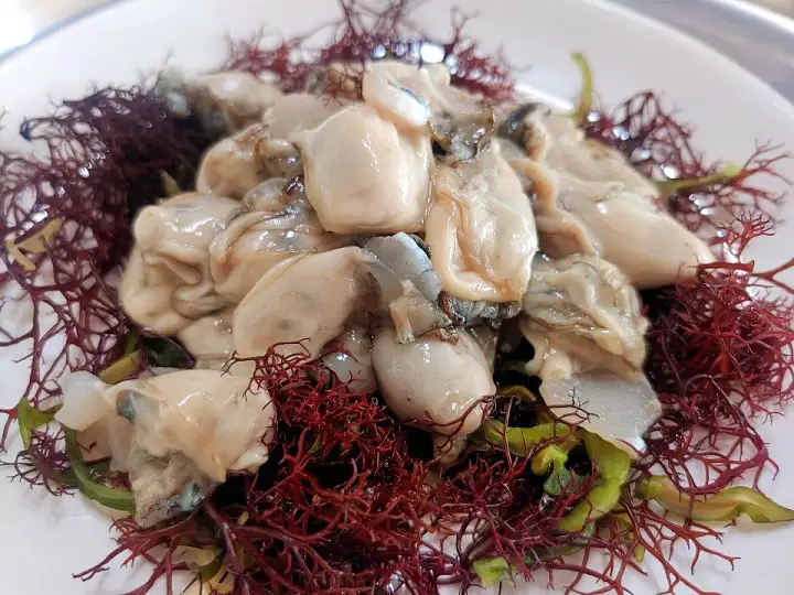 6시내고향 전남 완도 생굴 석화 파는 곳 전국 택배 온라인 전화 주문 추천