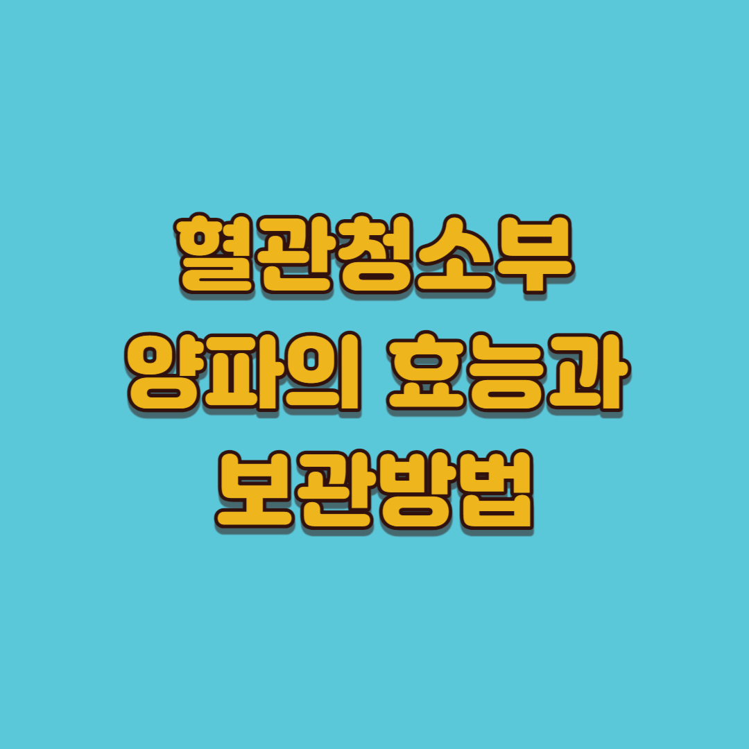 혈관청소부-양파의효능과보관방법