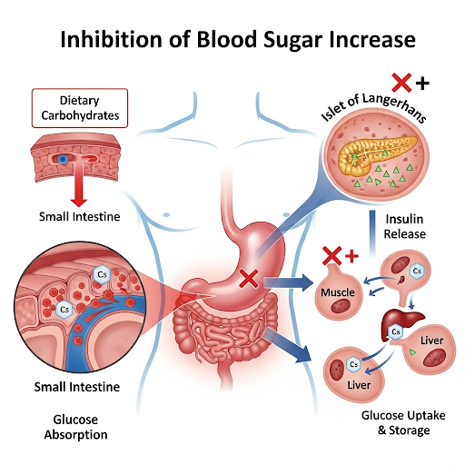 식이섬유가 풍부한 음식