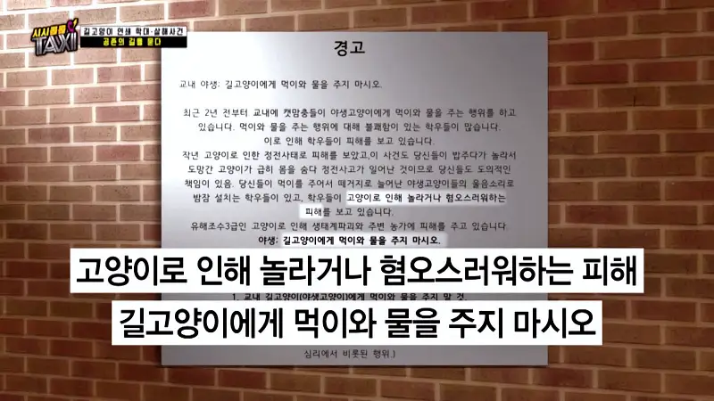 그알 그것이알고싶다 포항 고양이 연쇄 살해 사건 캣맘 불법 먹이 투기 행위 반대 캣 프레데터 강력 살인 범죄 징조 사례 1318회