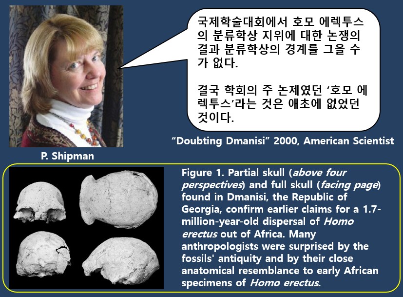American Scientist