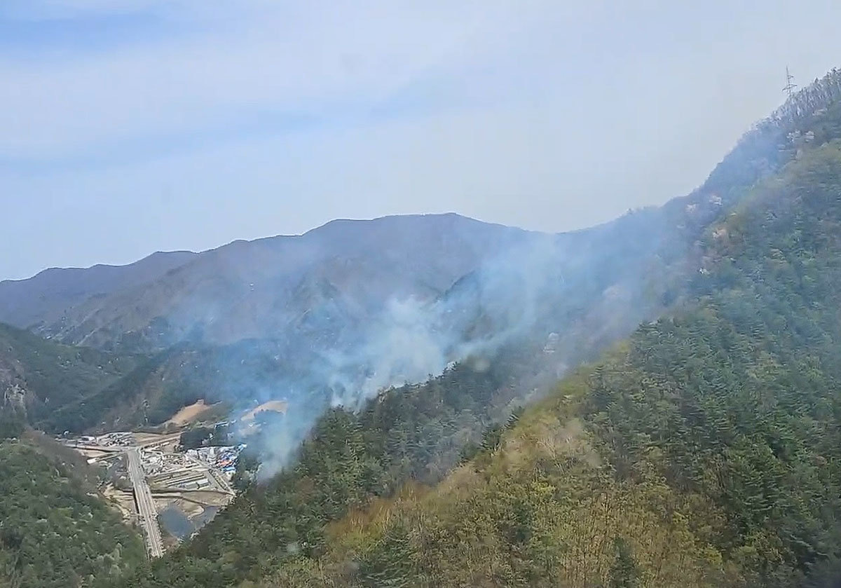 태백 산불 장성동 고압선 인근 화재 발생