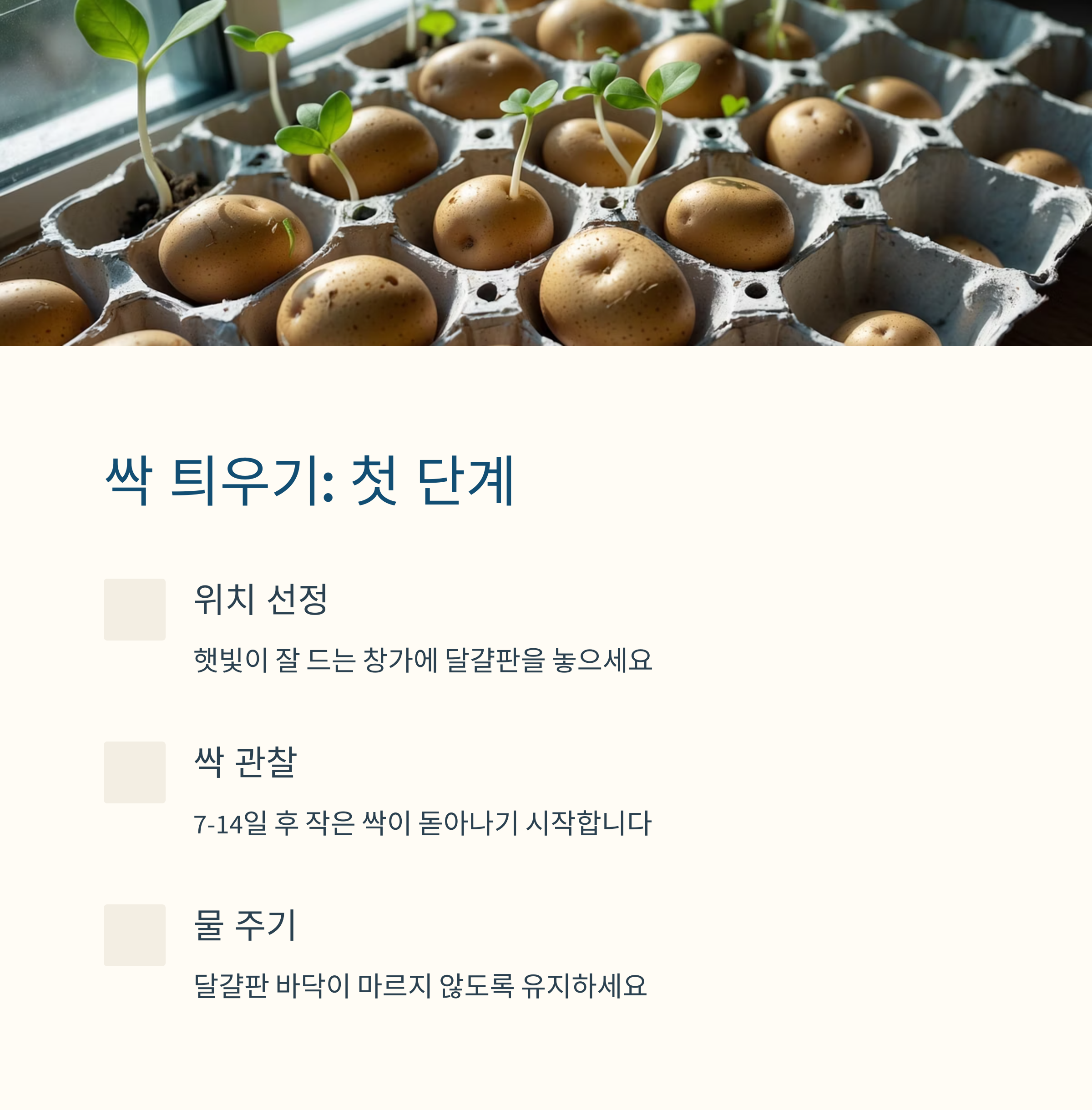 감자 싹틔우기