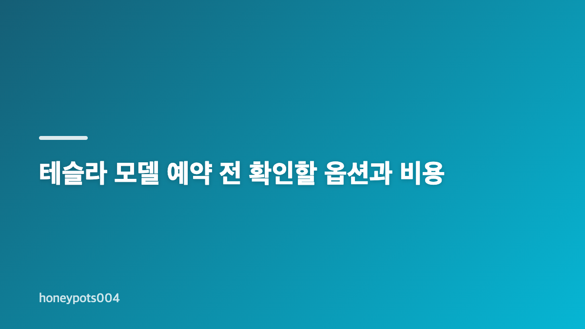 테슬라 모델 예약, 모델 S와 모델 Y 선택 기준