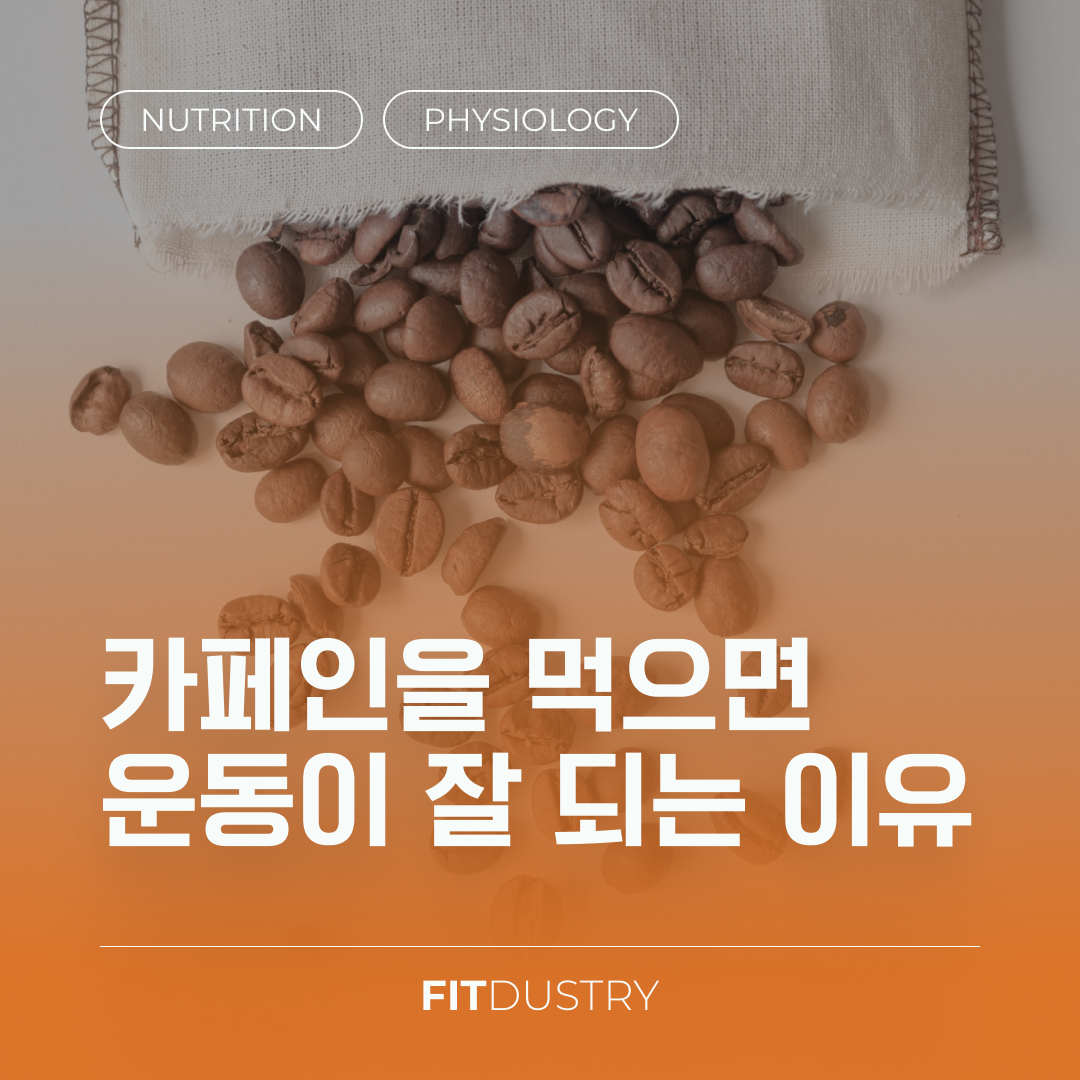 카페인을 먹으면 운동이 잘 되는 이유